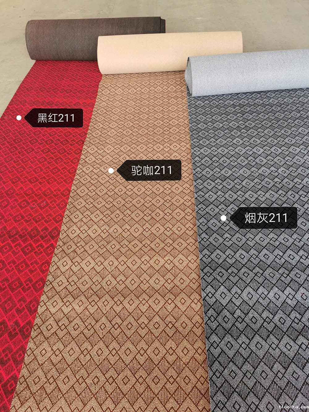 双色国足世预赛赛程直播在线观看